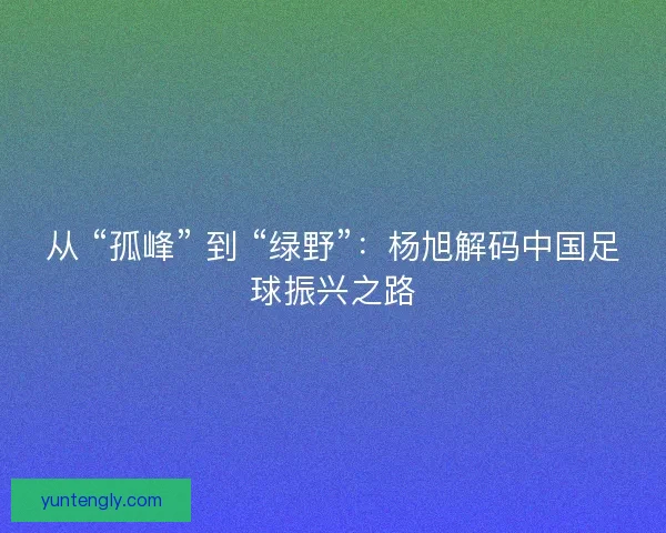 从 “孤峰” 到 “绿野”：杨旭解码中国足球振兴之路