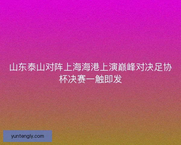 山东泰山对阵上海海港上演巅峰对决足协杯决赛一触即发